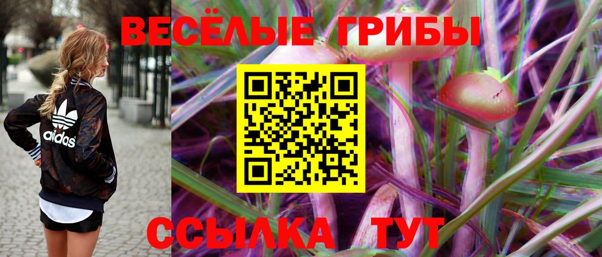 Всеволожск  Галлюциногенные грибы прущие грибы  Вход с VPN 